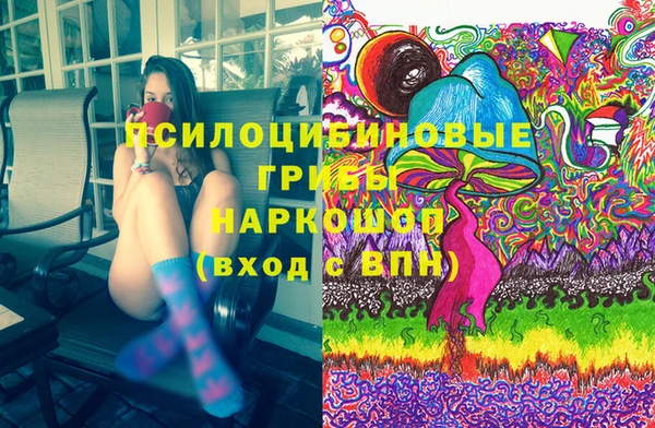 гашиш Богданович